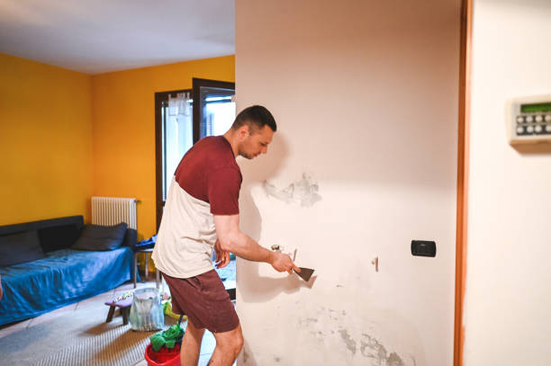 Best Professional Mold Removal  in Friars Point, MS